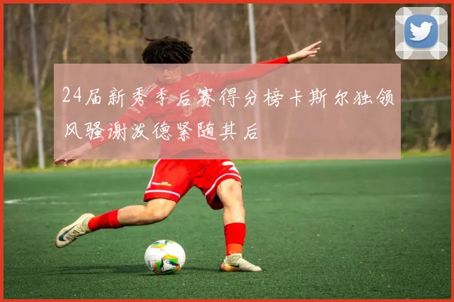 24届新秀季后赛得分榜卡斯尔独领风骚谢泼德紧随其后