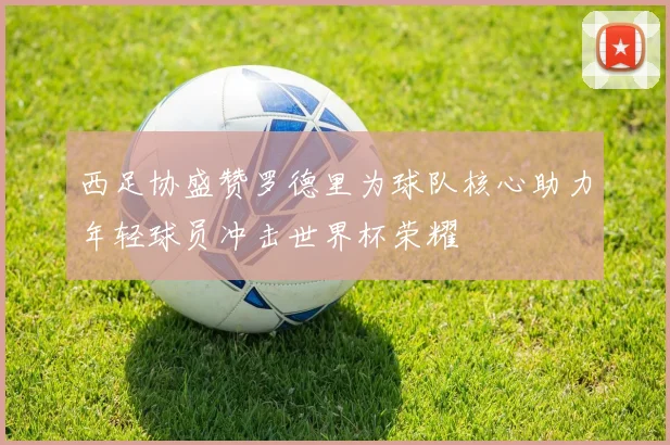 西足协盛赞罗德里为球队核心助力年轻球员冲击世界杯荣耀